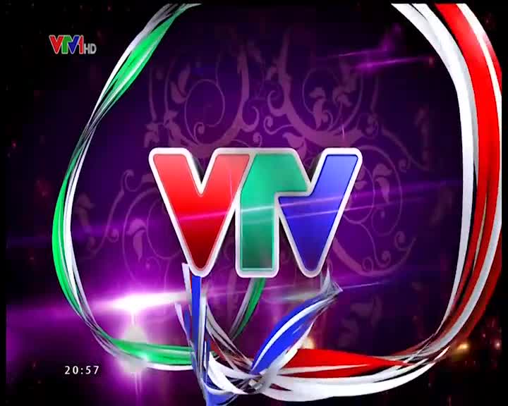 Gặp Gỡ VTV - Giao Lưu Chào Năm Mới (2016)