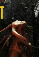 [PC] The Forest (Survival/EA/2014)