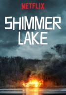 Điều Tra Ngược Thời Gian | Hồ Shimmer