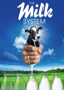 Hệ Thống Sữa Bò