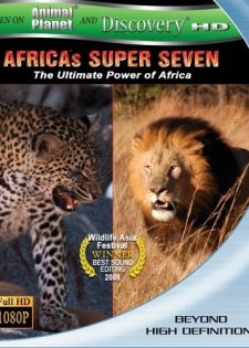 7 Loài Thống Lĩnh Châu Phi