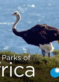 Những Vườn Quốc Gia Kỳ Vĩ Ở Châu Phi