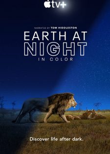 Sắc Màu Trái Đất Về Đêm