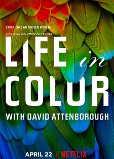 David Attenborough: Sự Sống Đầy Màu Sắc | Sắc Màu Cuộc Sống
