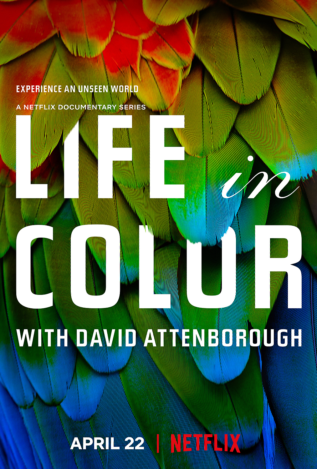 David Attenborough: Sự Sống Đầy Màu Sắc | Sắc Màu Cuộc Sống