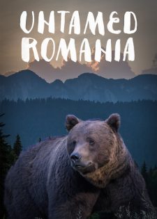 Thiên Nhiên Hoang Dã Romania