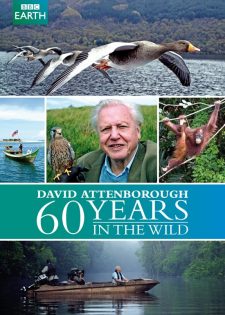 Attenborough: 60 Năm Trong Tự Nhiên