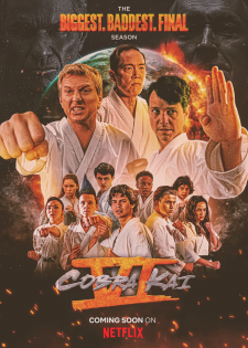 Võ Đường Cobra Kai: Phần 6