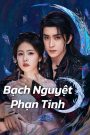 Bạch Nguyệt Phạn Tinh